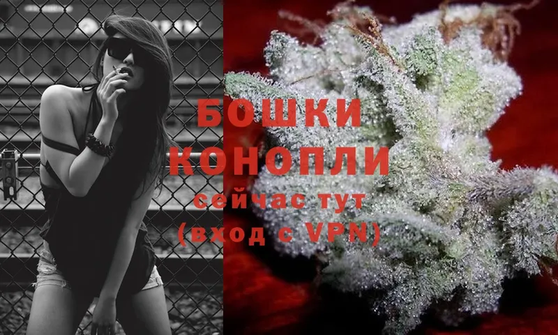 как найти   Пятигорск  МАРИХУАНА Ganja 